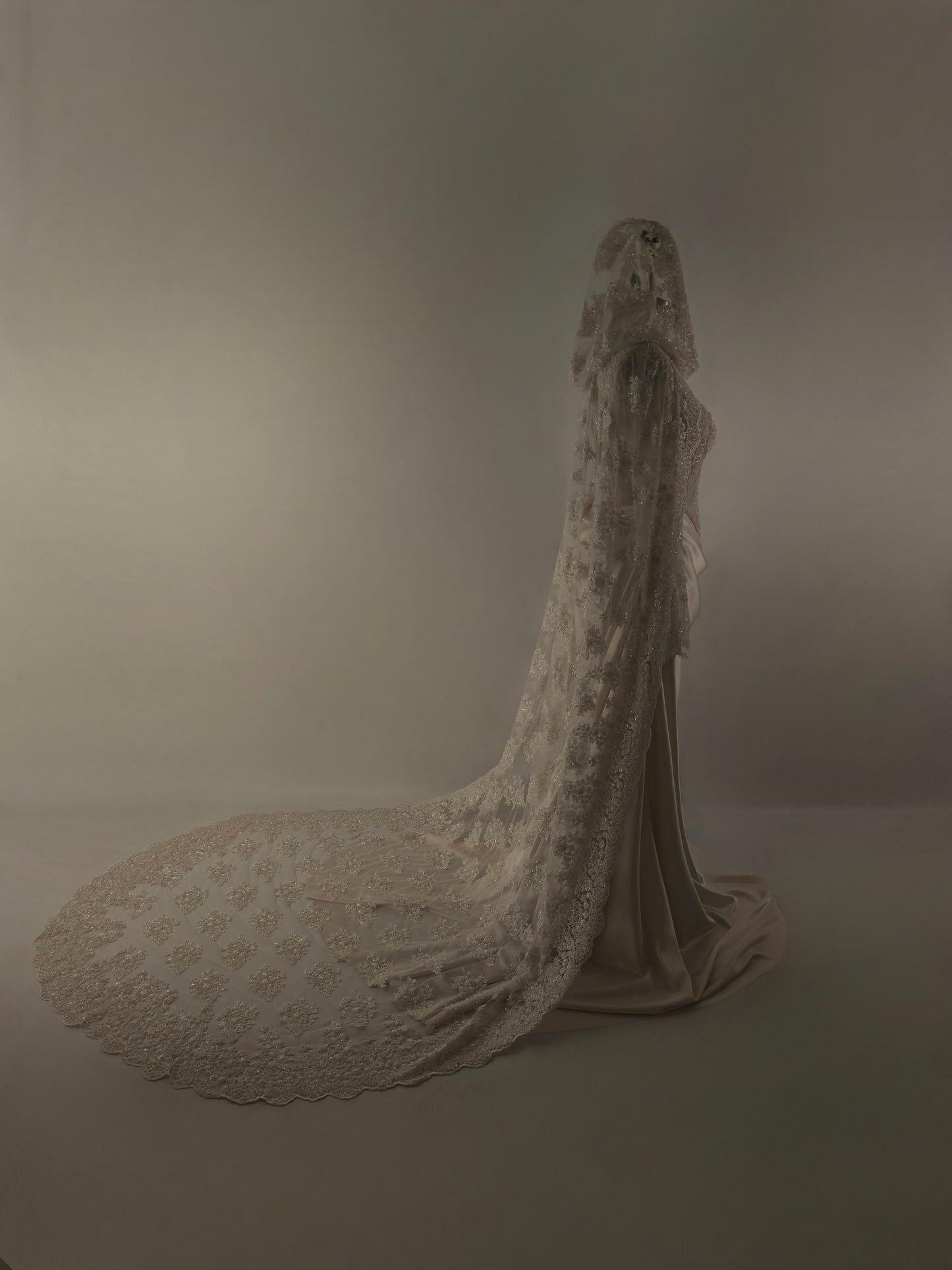 Nicolai Hooded Cape Veil